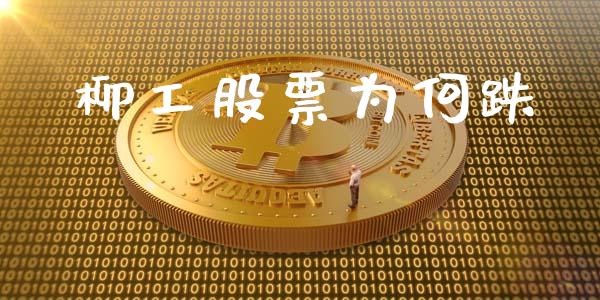 柳工股票为何跌_https://www.lansai.wang_基金理财_第1张