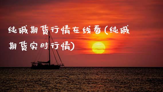 纯碱期货行情在线看(纯碱期货实时行情)_https://www.lansai.wang_期货行情_第1张
