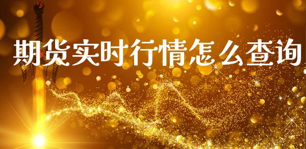 期货实时行情怎么查询_https://www.lansai.wang_期货资讯_第1张