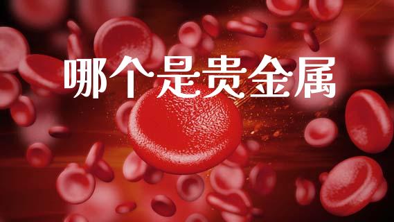 哪个是贵金属_https://www.lansai.wang_股指期货_第1张