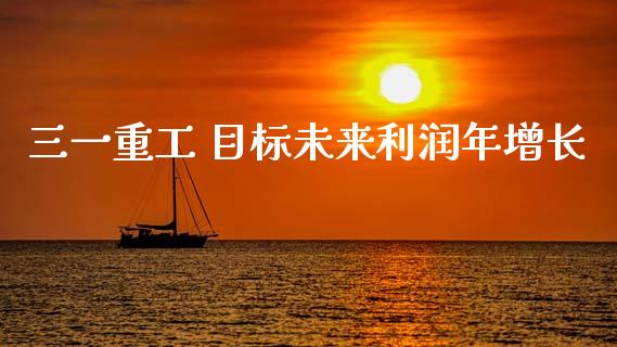 三一重工 目标未来利润年增长_https://www.lansai.wang_股票知识_第1张