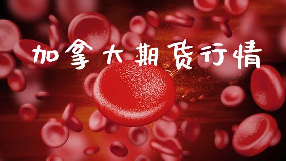 加拿大期货行情_https://www.lansai.wang_股指期货_第1张