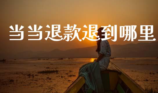 当当退款退到哪里_https://www.lansai.wang_期货资讯_第1张