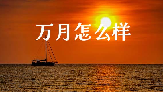 万月怎么样_https://www.lansai.wang_股票问答_第1张