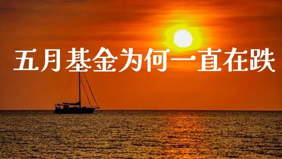五月基金为何一直在跌_https://www.lansai.wang_基金理财_第1张