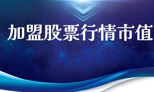 加盟股票行情市值_https://www.lansai.wang_股票问答_第1张