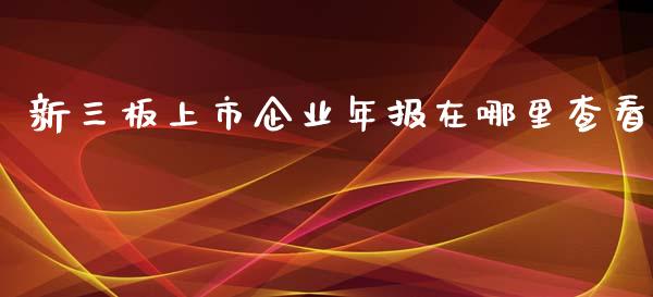 新三板上市企业年报在哪里查看_https://www.lansai.wang_股指期货_第1张