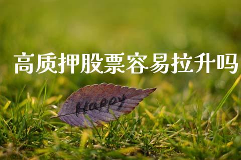 高质押股票容易拉升吗_https://www.lansai.wang_期货资讯_第1张