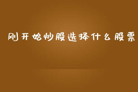 刚开始炒股选择什么股票_https://www.lansai.wang_期货行情_第1张