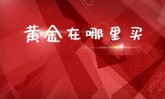 黄金在哪里买_https://www.lansai.wang_股票问答_第1张