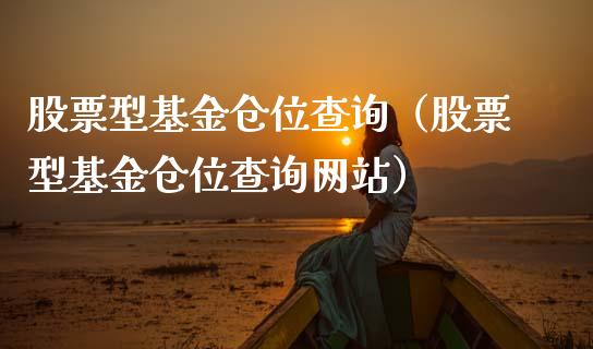 股票型基金仓位查询（股票型基金仓位查询网站）_https://www.lansai.wang_基金理财_第1张
