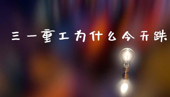 三一重工为什么今天跌_https://www.lansai.wang_股票问答_第1张