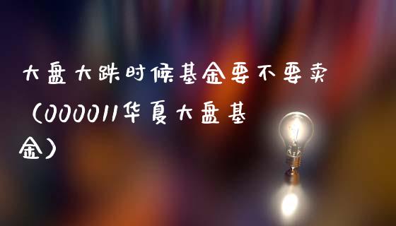 大盘大跌时候基金要不要卖（000011华夏大盘基金）_https://www.lansai.wang_基金理财_第1张