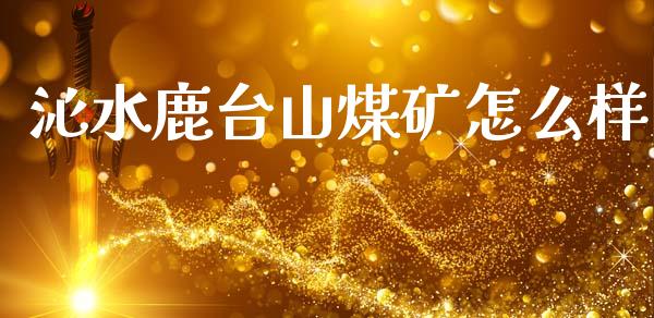沁水鹿台山煤矿怎么样_https://www.lansai.wang_期货资讯_第1张
