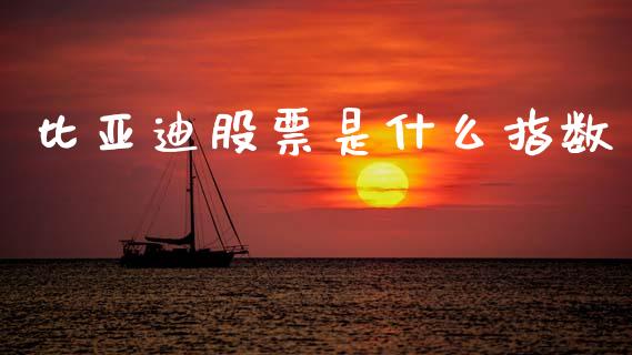 比亚迪股票是什么指数_https://www.lansai.wang_股票知识_第1张