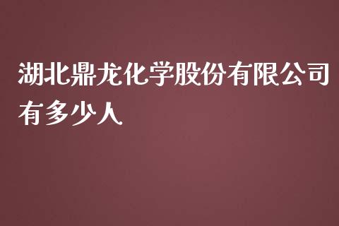 湖北鼎龙化学股份有限公司有多少人_https://www.lansai.wang_股票问答_第1张