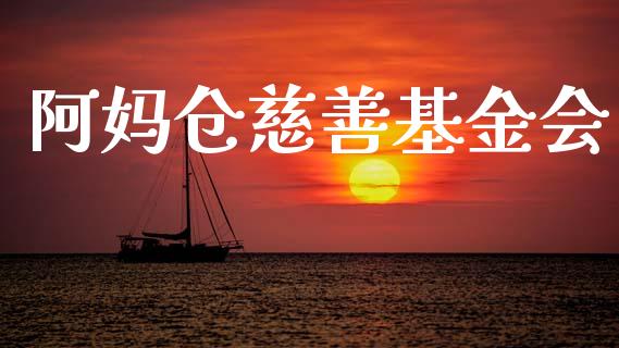 阿妈仓慈善基金会_https://www.lansai.wang_基金理财_第1张