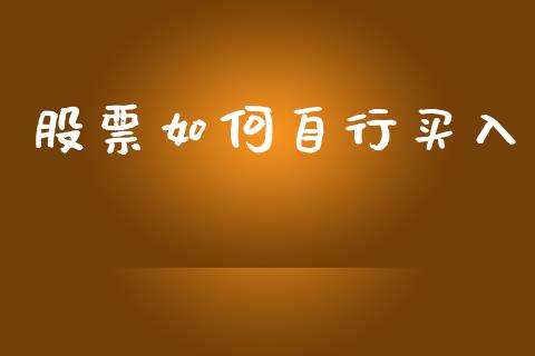 股票如何自行买入_https://www.lansai.wang_期货行情_第1张