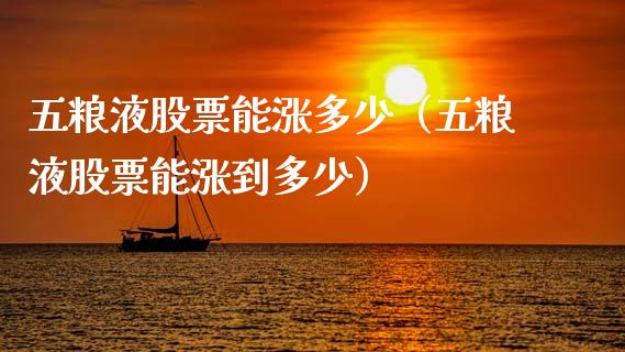 五粮液股票能涨多少（五粮液股票能涨到多少）_https://www.lansai.wang_股票问答_第1张