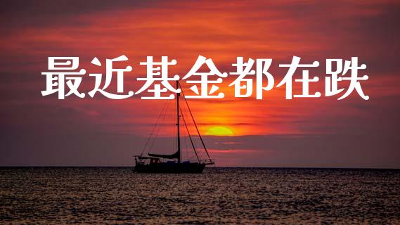 最近基金都在跌_https://www.lansai.wang_理财百科_第1张