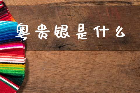 粤贵银是什么_https://www.lansai.wang_期货资讯_第1张