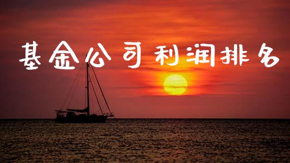 基金公司利润排名_https://www.lansai.wang_基金理财_第1张