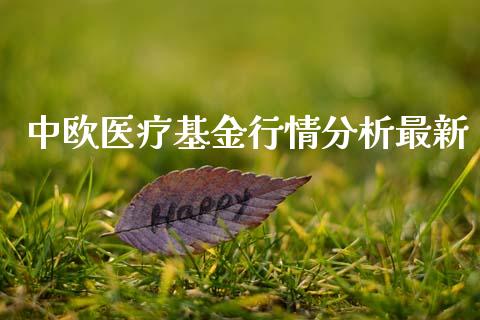 中欧医疗基金行情分析最新_https://www.lansai.wang_理财百科_第1张