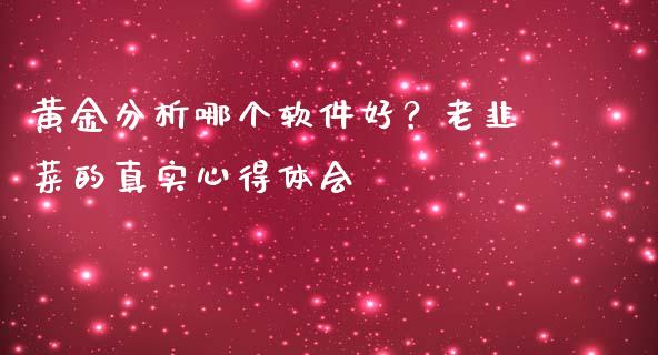 黄金分析哪个软件好？老韭菜的真实心得体会_https://www.lansai.wang_基金理财_第1张