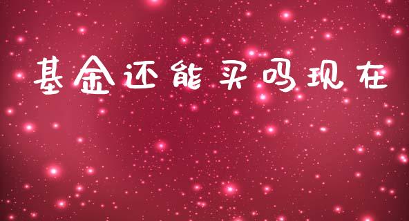 基金还能买吗现在_https://www.lansai.wang_基金理财_第1张