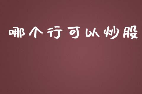 哪个行可以炒股_https://www.lansai.wang_理财百科_第1张