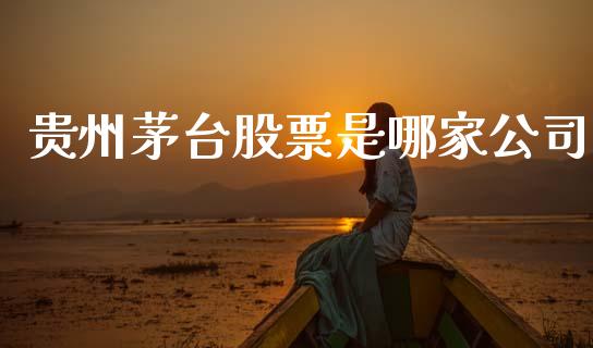 贵州茅台股票是哪家公司_https://www.lansai.wang_基金理财_第1张