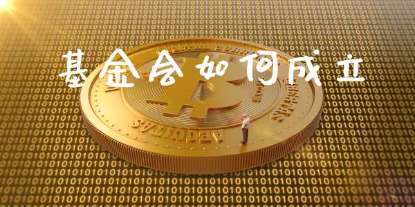 基金会如何成立_https://www.lansai.wang_基金理财_第1张