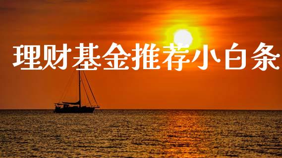 理财基金推荐小白条_https://www.lansai.wang_基金理财_第1张