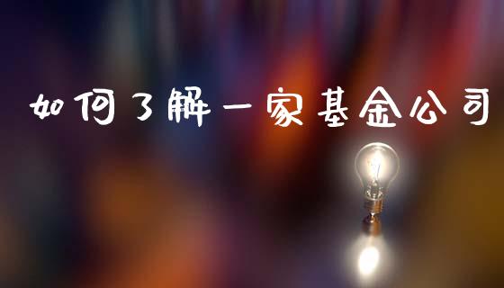 如何了解一家基金公司_https://www.lansai.wang_基金理财_第1张