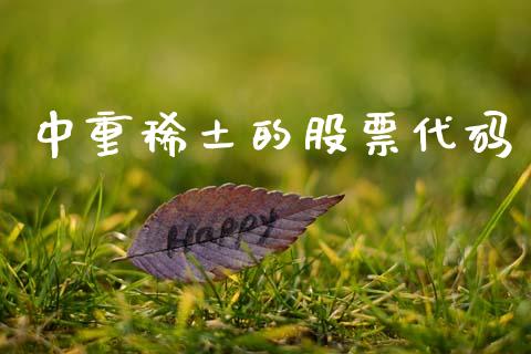 中重稀土的股票代码_https://www.lansai.wang_期货行情_第1张