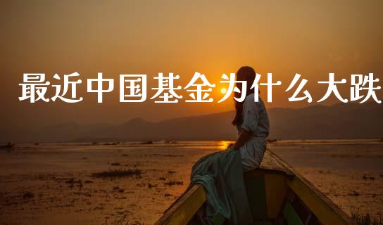 最近中国基金为什么大跌_https://www.lansai.wang_基金理财_第1张