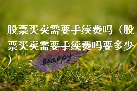 股票买卖需要手续费吗（股票买卖需要手续费吗要多少）_https://www.lansai.wang_股票知识_第1张
