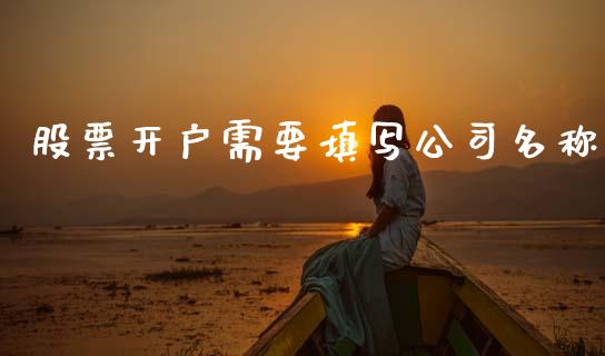 股票开户需要填写公司名称_https://www.lansai.wang_股票知识_第1张