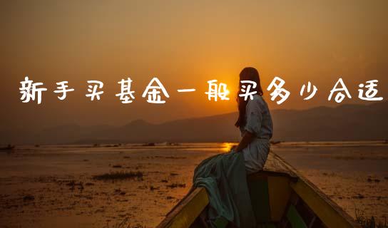 新手买基金一般买多少合适_https://www.lansai.wang_基金理财_第1张
