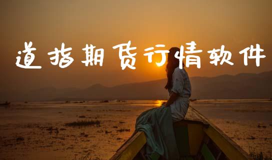 道指期货行情软件_https://www.lansai.wang_期货行情_第1张