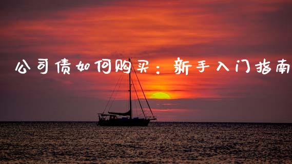 公司债如何购买：新手入门指南_https://www.lansai.wang_股票问答_第1张