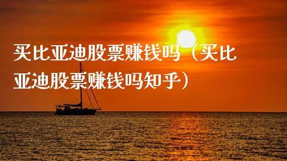 买比亚迪股票赚钱吗（买比亚迪股票赚钱吗知乎）_https://www.lansai.wang_股票问答_第1张