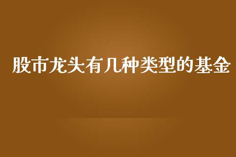 股市龙头有几种类型的基金_https://www.lansai.wang_基金理财_第1张