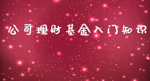 公司理财基金入门知识_https://www.lansai.wang_基金理财_第1张