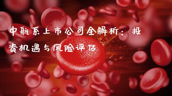 中航系上市公司全解析：投资机遇与风险评估_https://www.lansai.wang_理财百科_第1张
