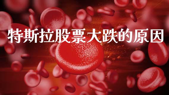 特斯拉股票大跌的原因_https://www.lansai.wang_股票问答_第1张