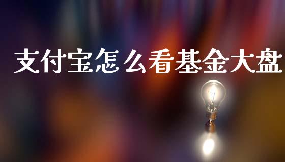 支付宝怎么看基金大盘_https://www.lansai.wang_理财百科_第1张