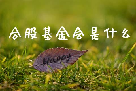 合股基金会是什么_https://www.lansai.wang_基金理财_第1张