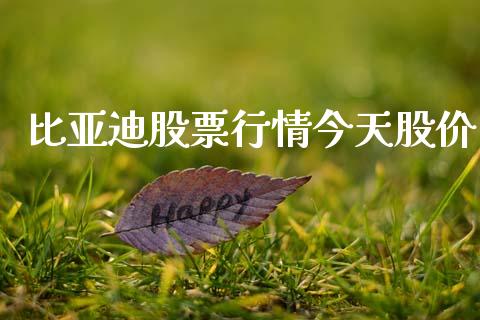 比亚迪股票行情今天股价_https://www.lansai.wang_股票问答_第1张