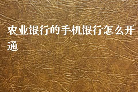农业银行的手机银行怎么开通_https://www.lansai.wang_理财百科_第1张